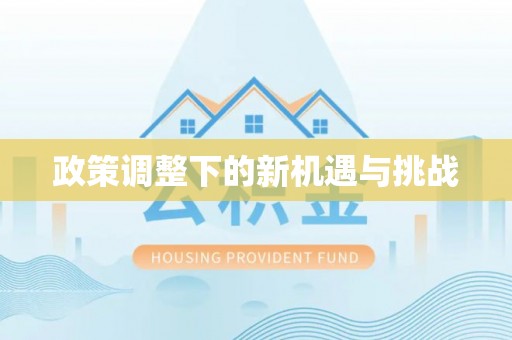 华亭政策调整下的新机遇与挑战