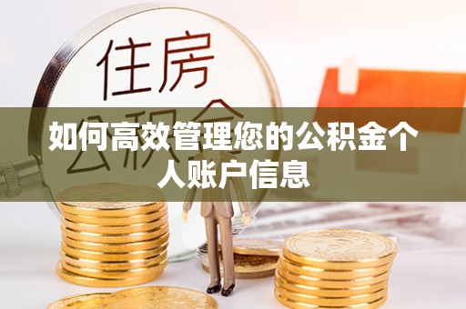 华亭如何高效管理您的公积金个人账户信息
