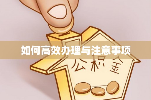 华亭如何高效办理与注意事项