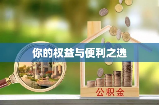 华亭你的权益与便利之选