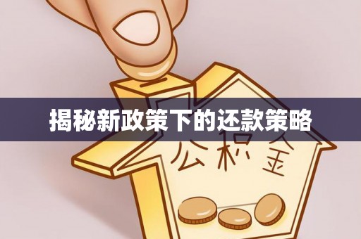华亭揭秘新政策下的还款策略