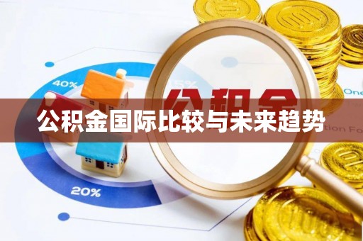 华亭公积金国际比较与未来趋势