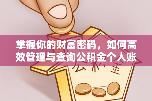 华亭掌握你的财富密码，如何高效管理与查询公积金个人账户信息