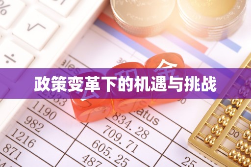 华亭政策变革下的机遇与挑战