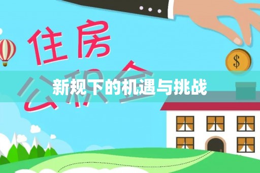 华亭新规下的机遇与挑战