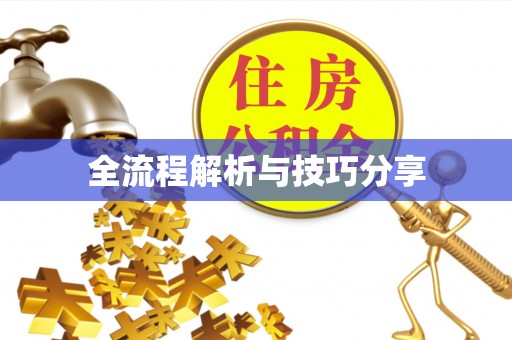 华亭全流程解析与技巧分享