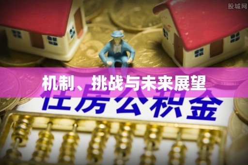 华亭机制、挑战与未来展望